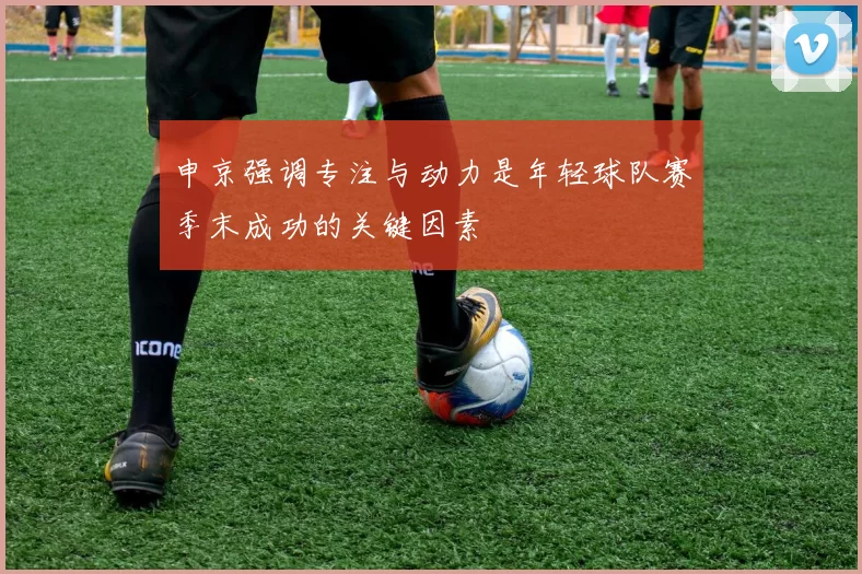 申京强调专注与动力是年轻球队赛季末成功的关键因素